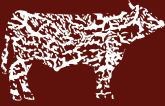 Kingdom Cattle Co.